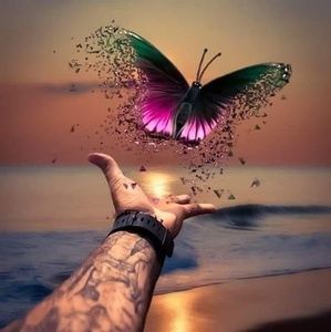 Meet your Posher, Kimberly